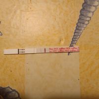 Buscadoras Febrero 2023 🤞🏻✨ - 1