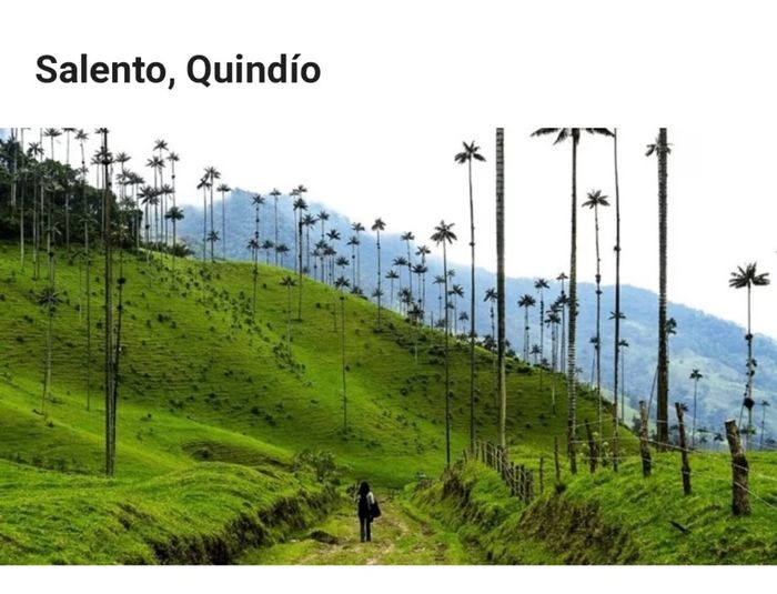 Buscando lo imposible 1