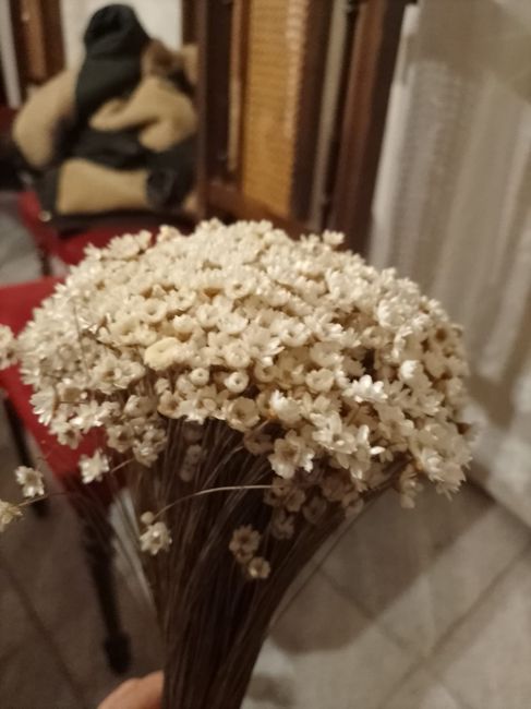 Empiezo con las invitaciones 8