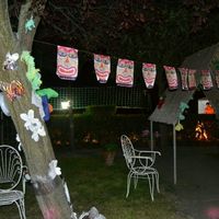 Nuestra despedida hawaiana genial - 6