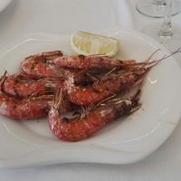 Prueba menú - 3