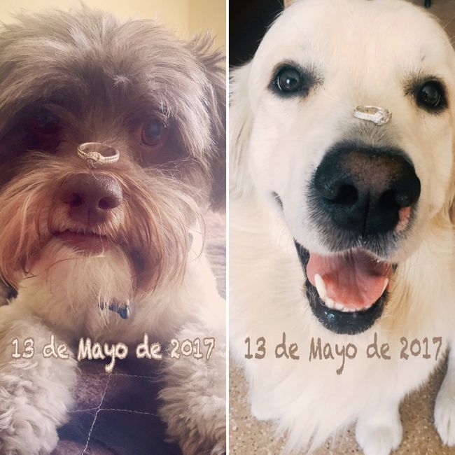Nuestro sello!! - 2
