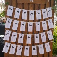 Tres semanas casados - 2
