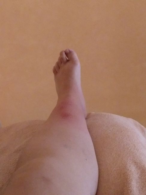 Fin de semana caótico...... 2