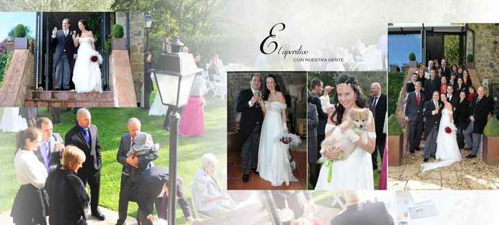 Perros en bodas - 1
