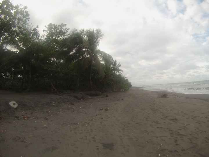 Tortuguero