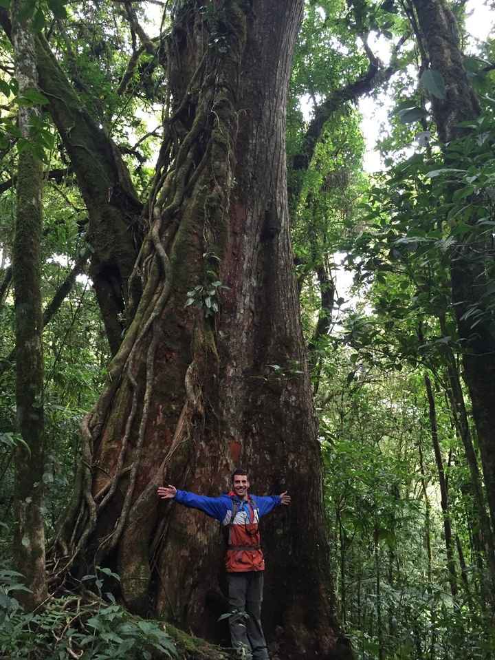 cacho árboles se gastan en costa rica jajaja