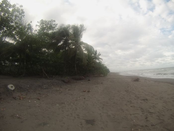 Tortuguero