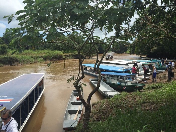 botes para ir a tortuguero