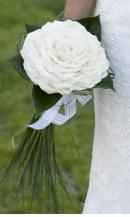 ROSMELIA BLANCA 2