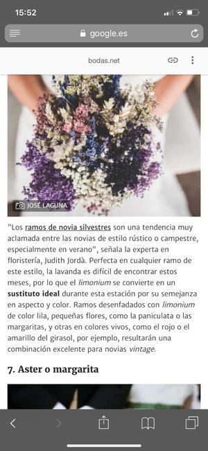 Ramo de novia Paniculata - 2