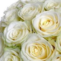 mi flor