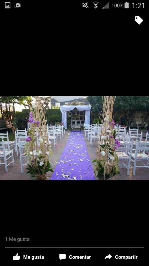 Alfombra fucsia entrada banquete - 1