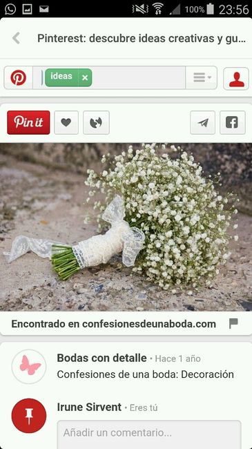 Paniculata natural  en pelo - 3