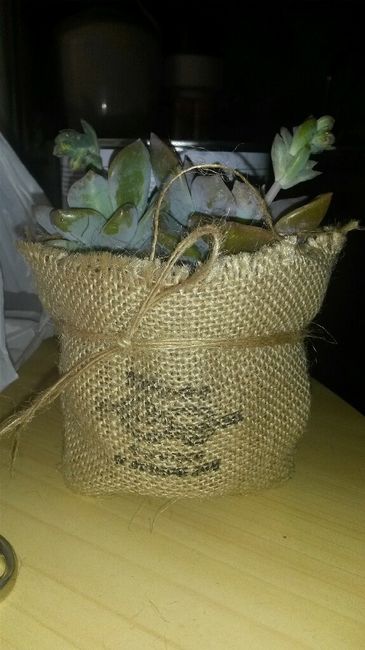 Regalos originales: ¿plantitas? - 1