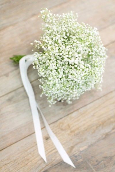 paniculata