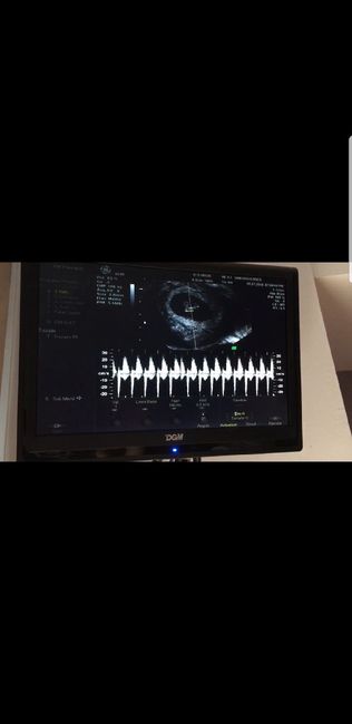 Futuras mamas febrero 2019 1