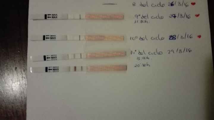 test ovulacion