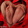 Sandra-Potes