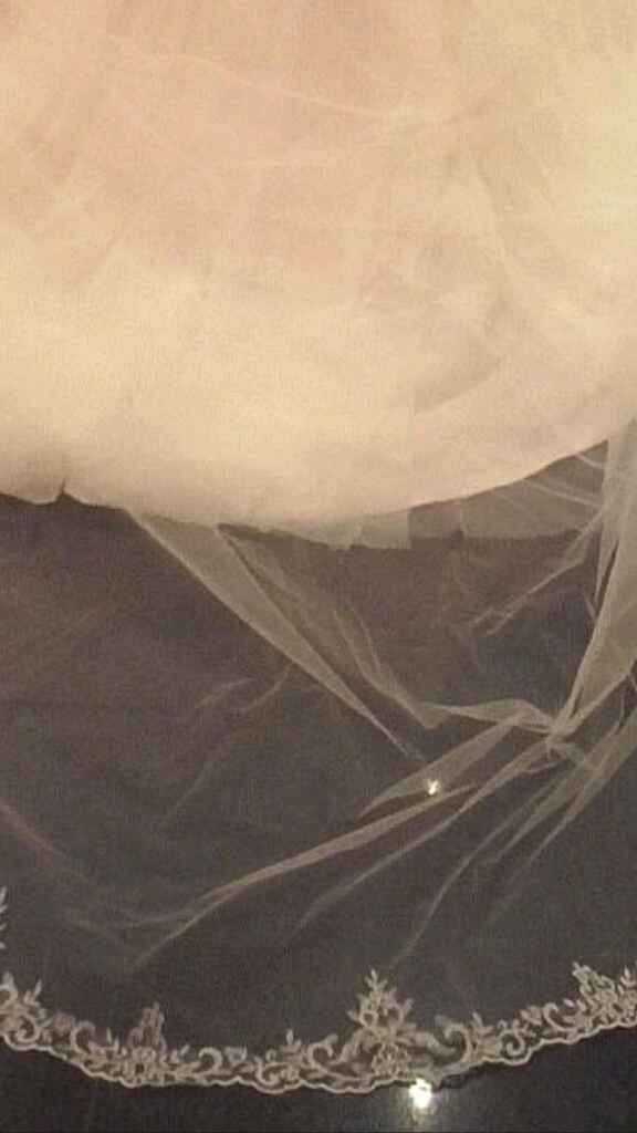 Me ayudais a encontrar el velo? - 1