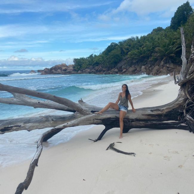 Seychelles: La Digue y Mahé 🥰 luna de miel en el paraíso 3