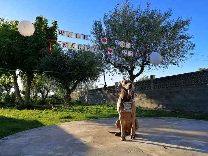 ¡Comparte tu momento de la pedida mediante fotos! - 4
