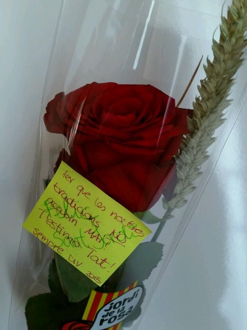 Sant jordi - 2
