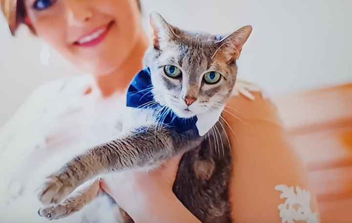 ¡GUAU! ¿Habrá perritos en vuestra boda? 🐶 - 2