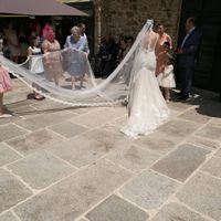 Colección san patrick 2016 - 4