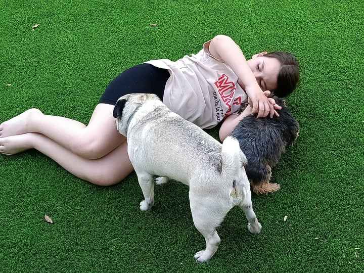 ¿Tener mascota o no? - 1