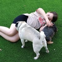 ¿Tener mascota o no? - 1