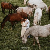 Preboda a caballo 🐎 - 1