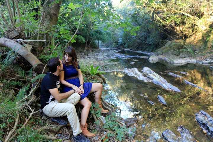 fotos