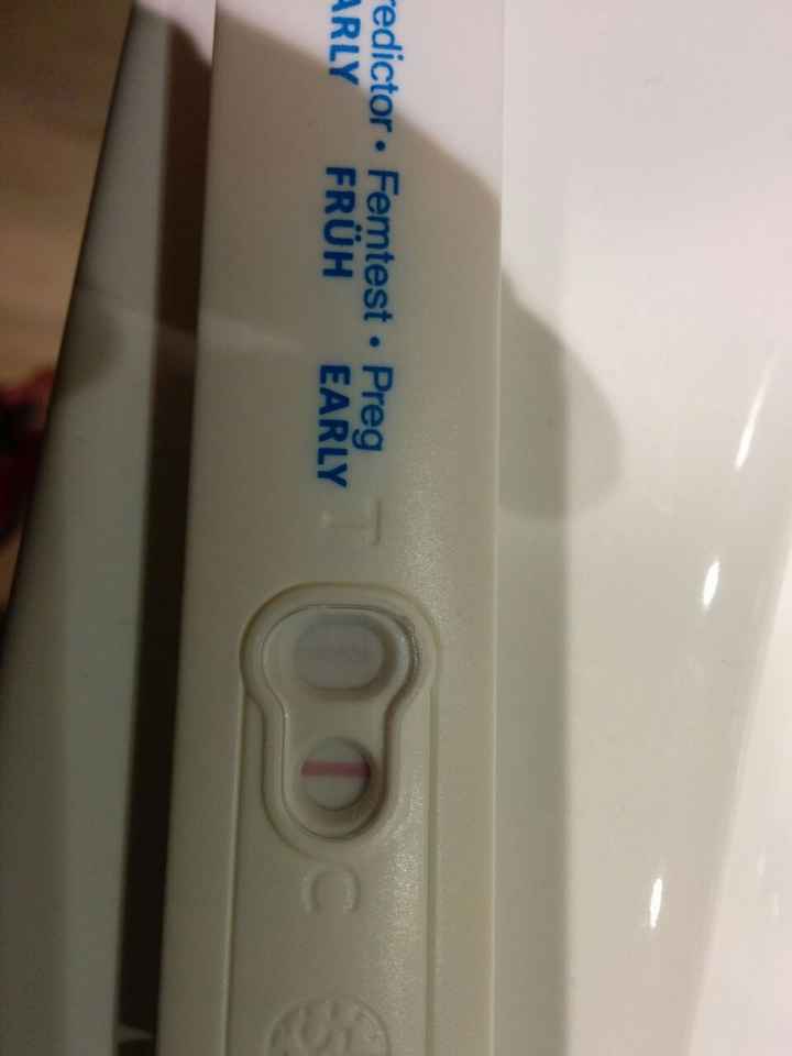 Qué opinais?