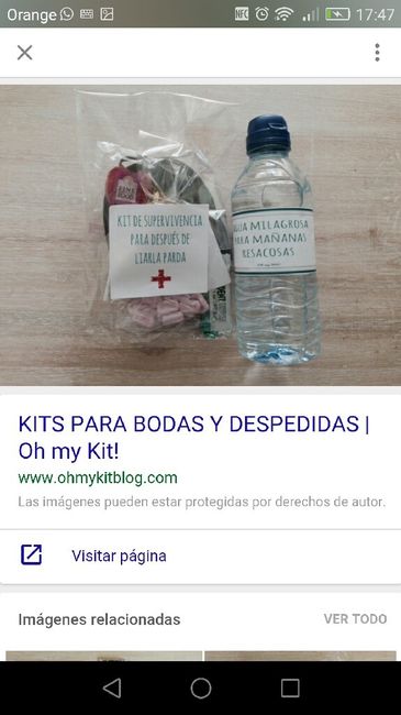 Kit supervivencia diy - 1