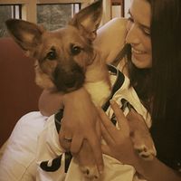 Preboda con nuestras mascotas??? - 2
