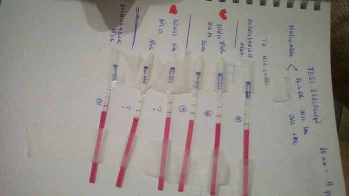 Test ovulación tras ovular 2
