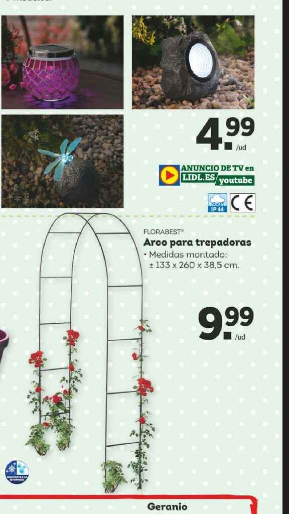 Arco de flores lidl - 1