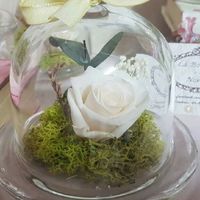 La Boutique de las novias Excelente!!!!!! - 1