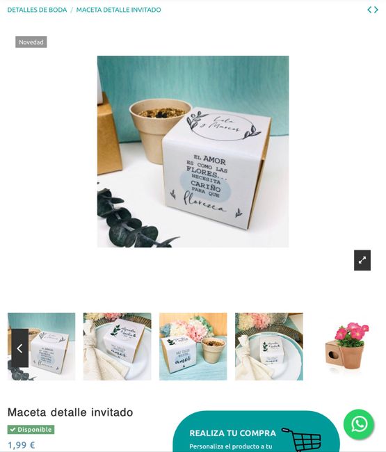 Plantas como detalle para los invitados 1