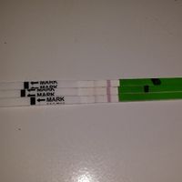 testovu