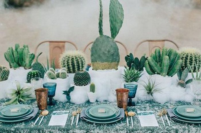y otra deco más usando plantas... 3