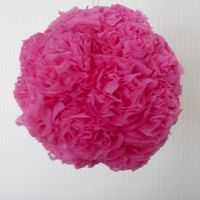 pomander rosa