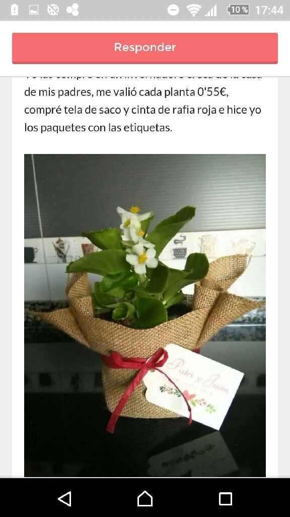 Dar plantitas para las chicas?? - 1