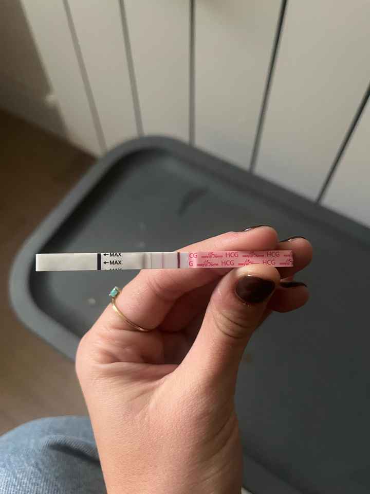 Buscadoras Diciembre 2024 🐣🎄 - 1