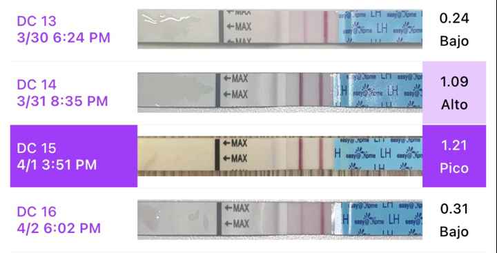 Buscadoras abril 🌞🪻🪻🌹🌹🌞 - 1