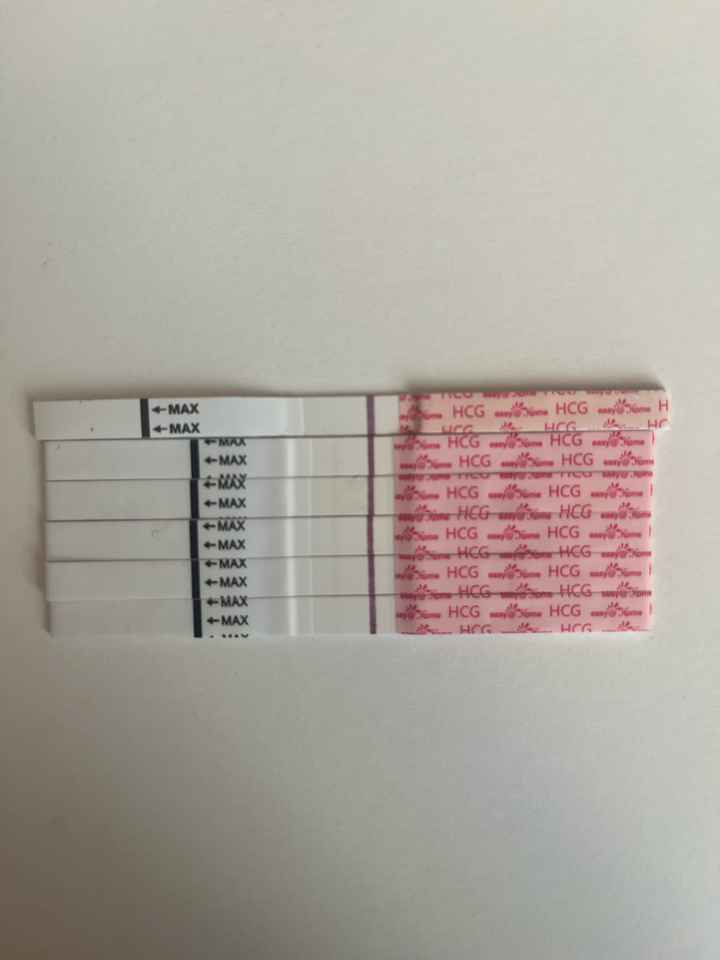 Buscadoras más de 1 año - 2022 - 1