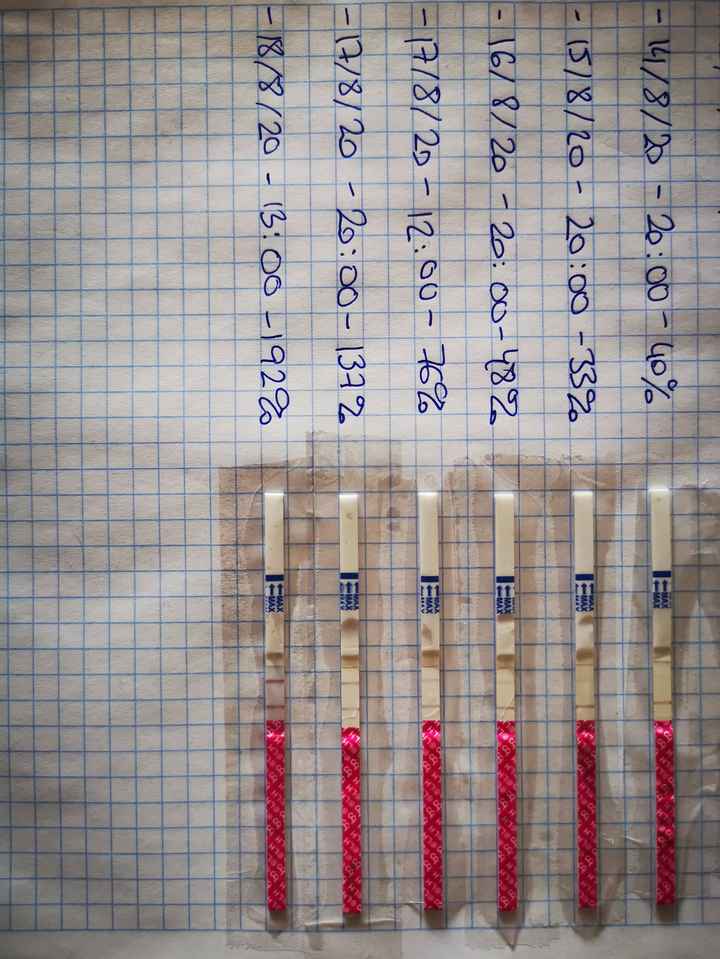 buscadoras con Sop/op - 1