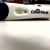 12 DPO por la tarde 2