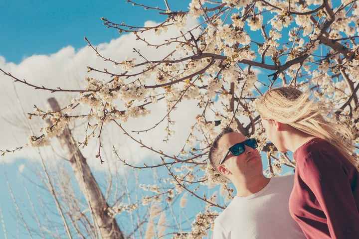 almendro en flor